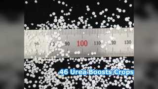 Повышение урожайности: 46% мочевинное удобрение для фермеров